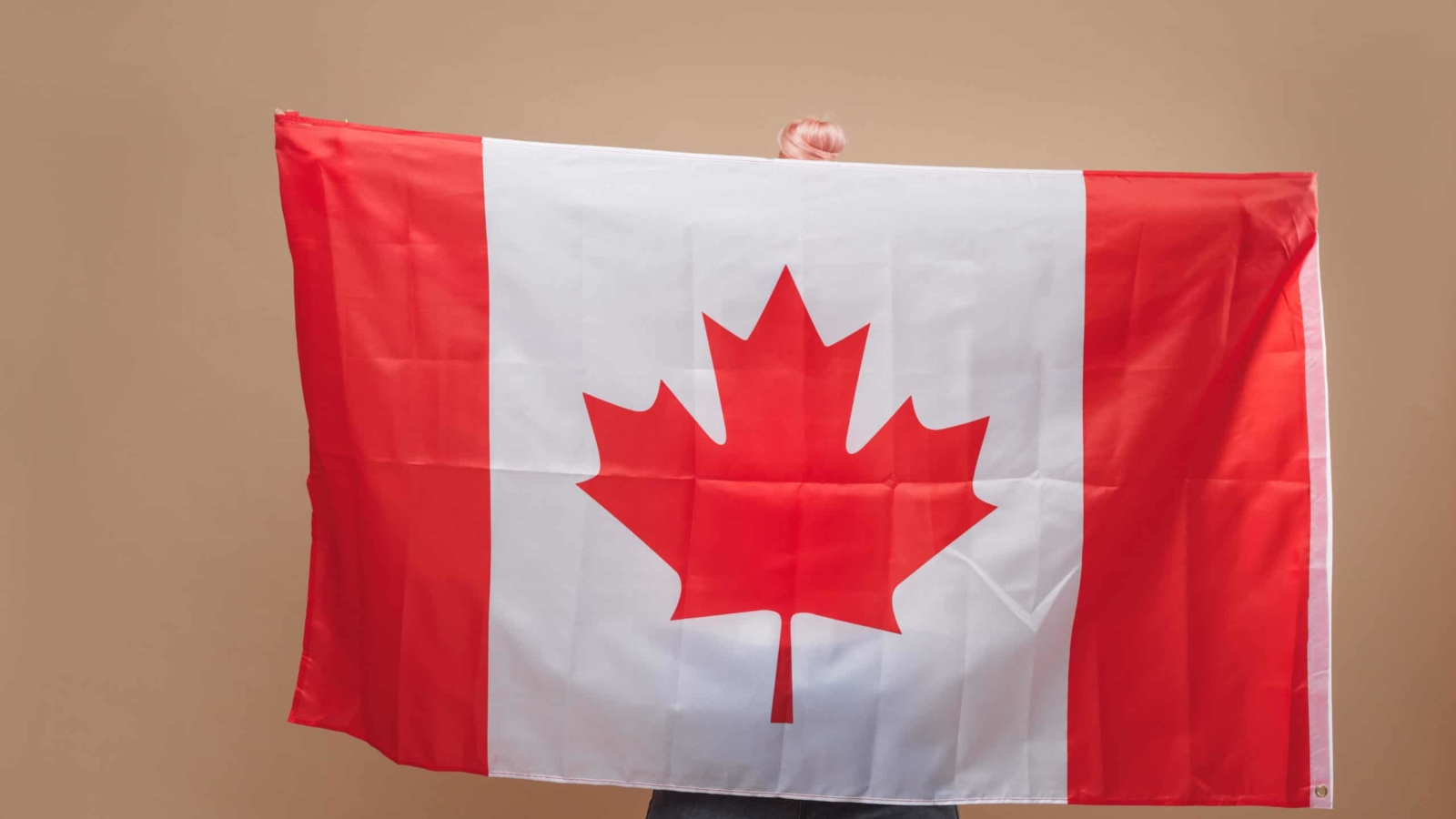 How Much Does it Cost to Become a Canadian Citizen in 2022? - ANOC